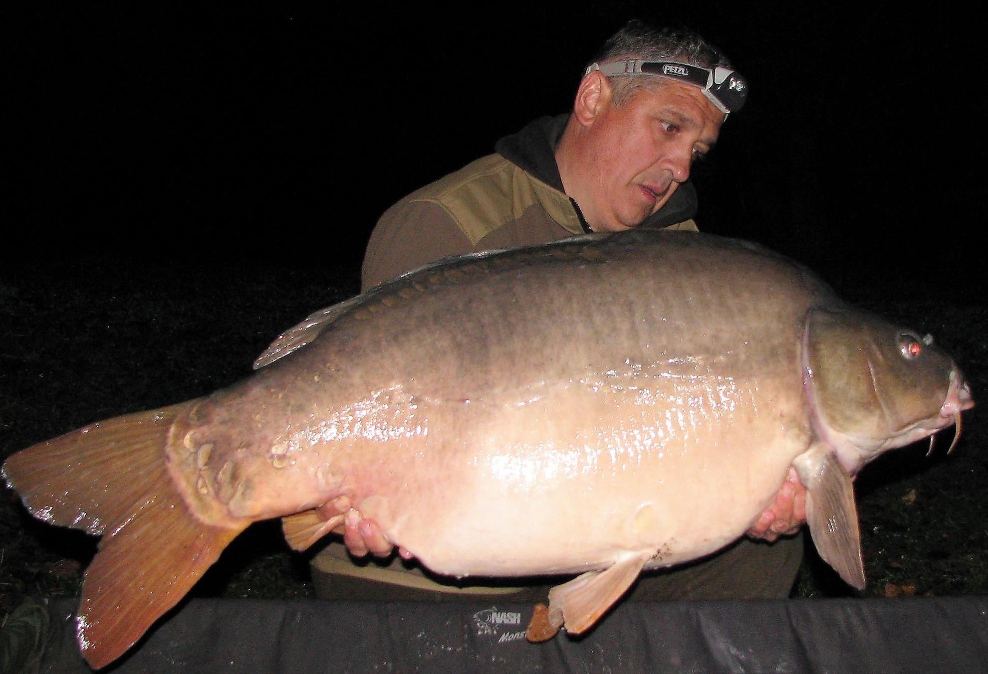 Pelagicevo 8 - 15 octombrie 2017 - img11.jpg